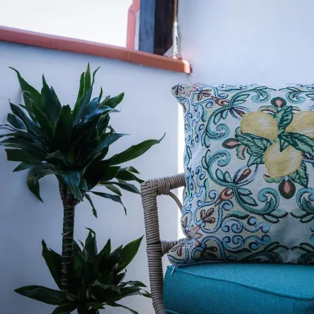 Apartment Vanda's Terrace